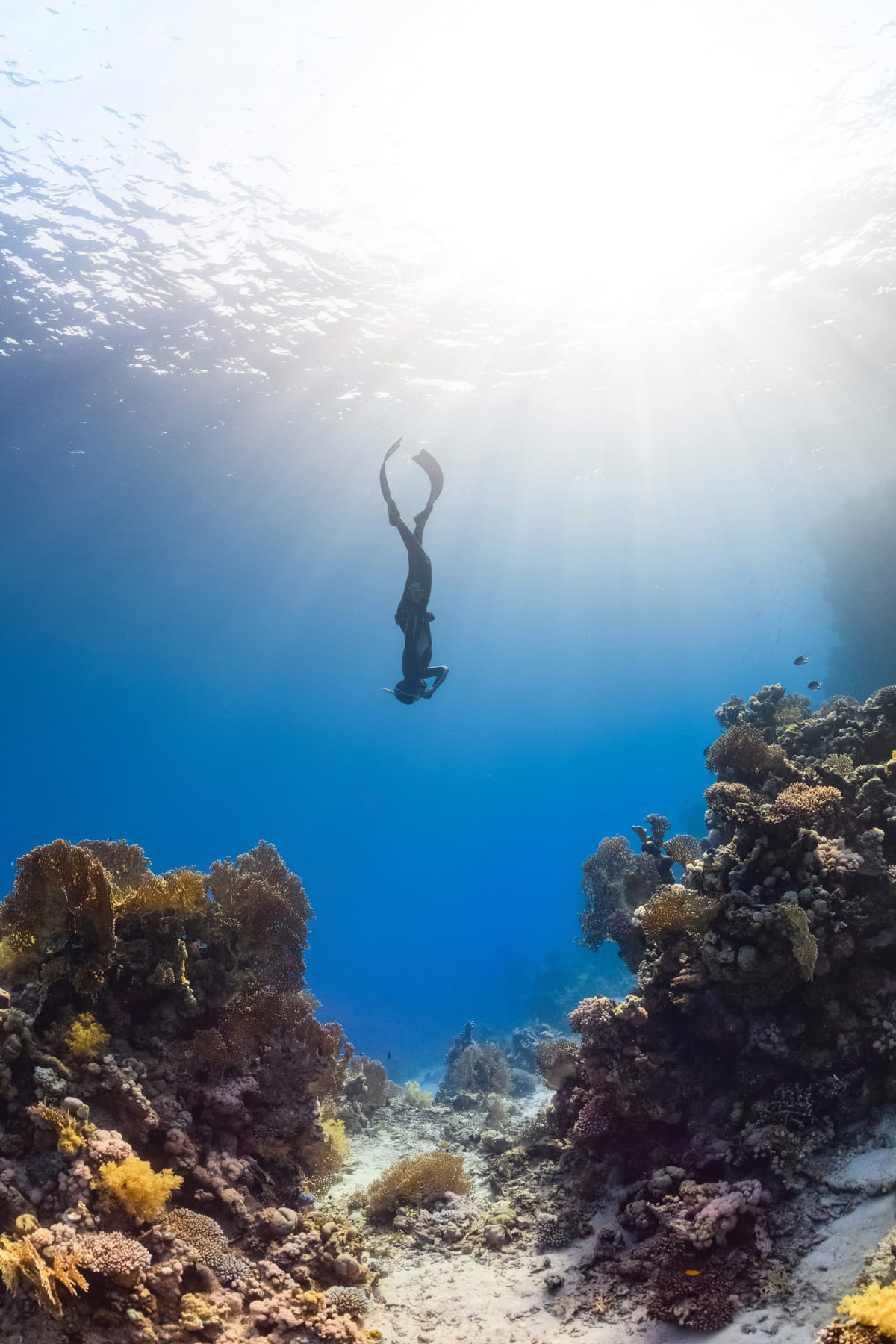 KASOdeepdive